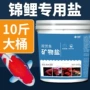 清澈海盐观赏鱼除藻剂