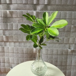 ���S���l����ľ�bGֲ�����҃ȿ͏d�Ƶ�[�����_ľ���滨���l