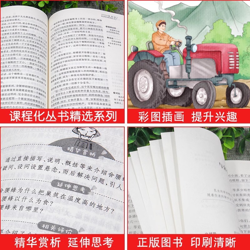 Lei Feng's Story Genuine Books Extracurricular Books for Primary…