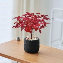 ������������������������Gֲ����ֲ����B���ͺ��k��������[��