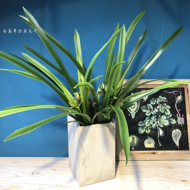 高端手感系列仿真兰花绿植剑叶盆栽植物森系装饰吊兰家居婚庆搭配