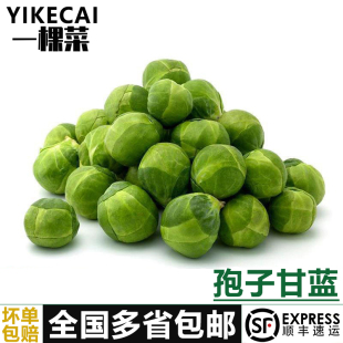 ���Ӹ��{5�����r�߲˱��Ӹ��{��ѿ���mС����С���Ĳ�500g