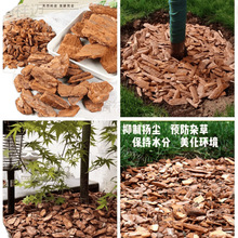 �ɘ�Ƥ���@���쾰���@ͥԺ���ؘ�Ѩ�b�ĥ���[��Ƥ�ЙC���w��