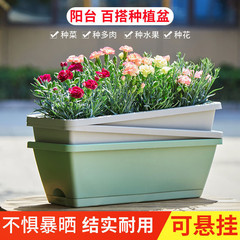 厚い種の野菜のたらいの霍倫のたらいの卸売りのベランダの百合は花を栽培してたらいを植えます。