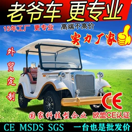 电动观光车;其他电动车;高尔夫球车