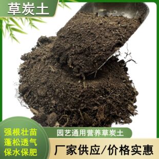 �S�����l�C�ƠI�B������͸���ЙC�����Gֲͨ�����p�|�ЙC�ʲ�̿��
