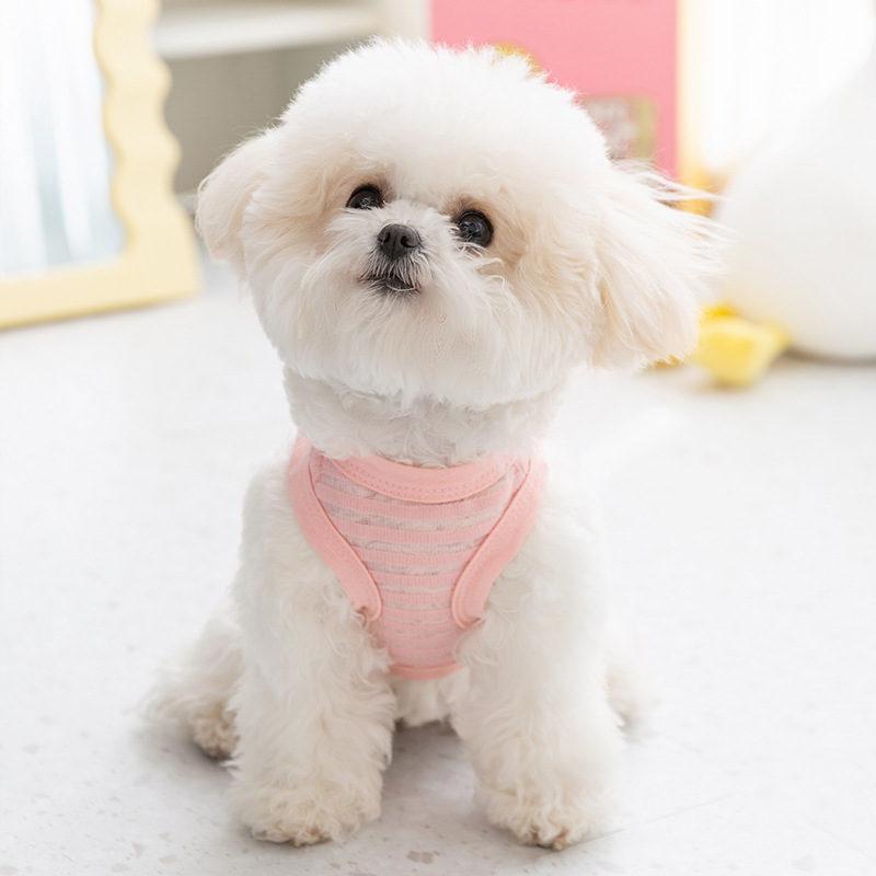 Chaleco de tracción de rayas huecas de verano perros pequeños gatos respirantes no sofocantes camisas de dos patas mascotas ropa de perro