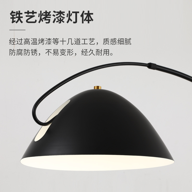 Xiaohongshu Style Fishing Lamp Floor Lamp Living Room High-End Atmosphere Nordic Modern Minimalist Sofa Corner Lamp