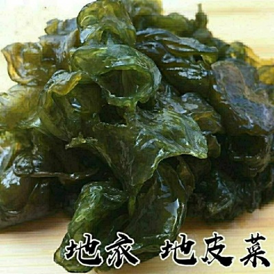 Land Vegetable plot Disposable Northwest cuisine dried food Lichens Da da Vegetable plot Fungus natural Wild