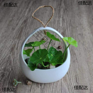 �Gֲ�_�R�ڒ�ʽ�tɫ���@�����m�����մɒ젝���s��ɫˮֲ����