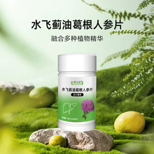 水飞蓟油葛根人参片酵母蛋白粉委托生产OEM贴牌代加工皇菴堂