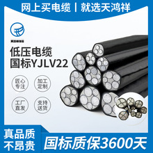 供應鋁芯架空線電力電纜 耐高溫低壓電線YJLV22 3*50+2*25電纜