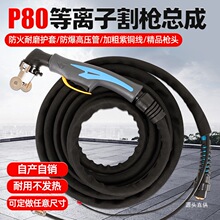 P80���x�Ӹȫ���и�C�������LGK-100���L��Ѿ����^����F��