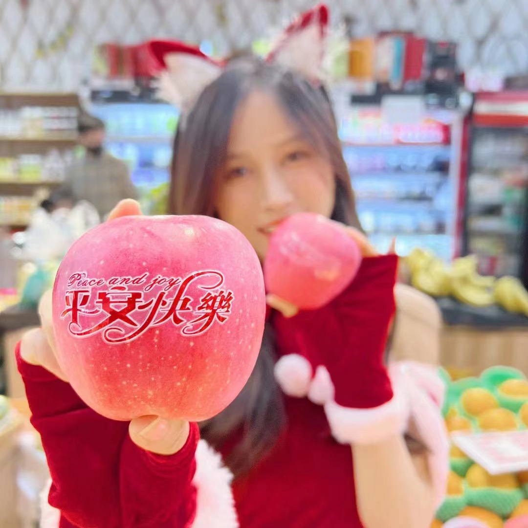 Navidad paz fruta marca de agua pegatinas Apple UI pegatinas mágicas 27 piezas Feliz Navidad bendición pegatinas seguro y feliz