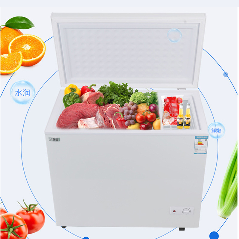 Customized Energy-Saving Recycling Refrigeration Freezer 216L Direct Cooling Freezer Low-Noise Mechanical Freezer for Rental Housing