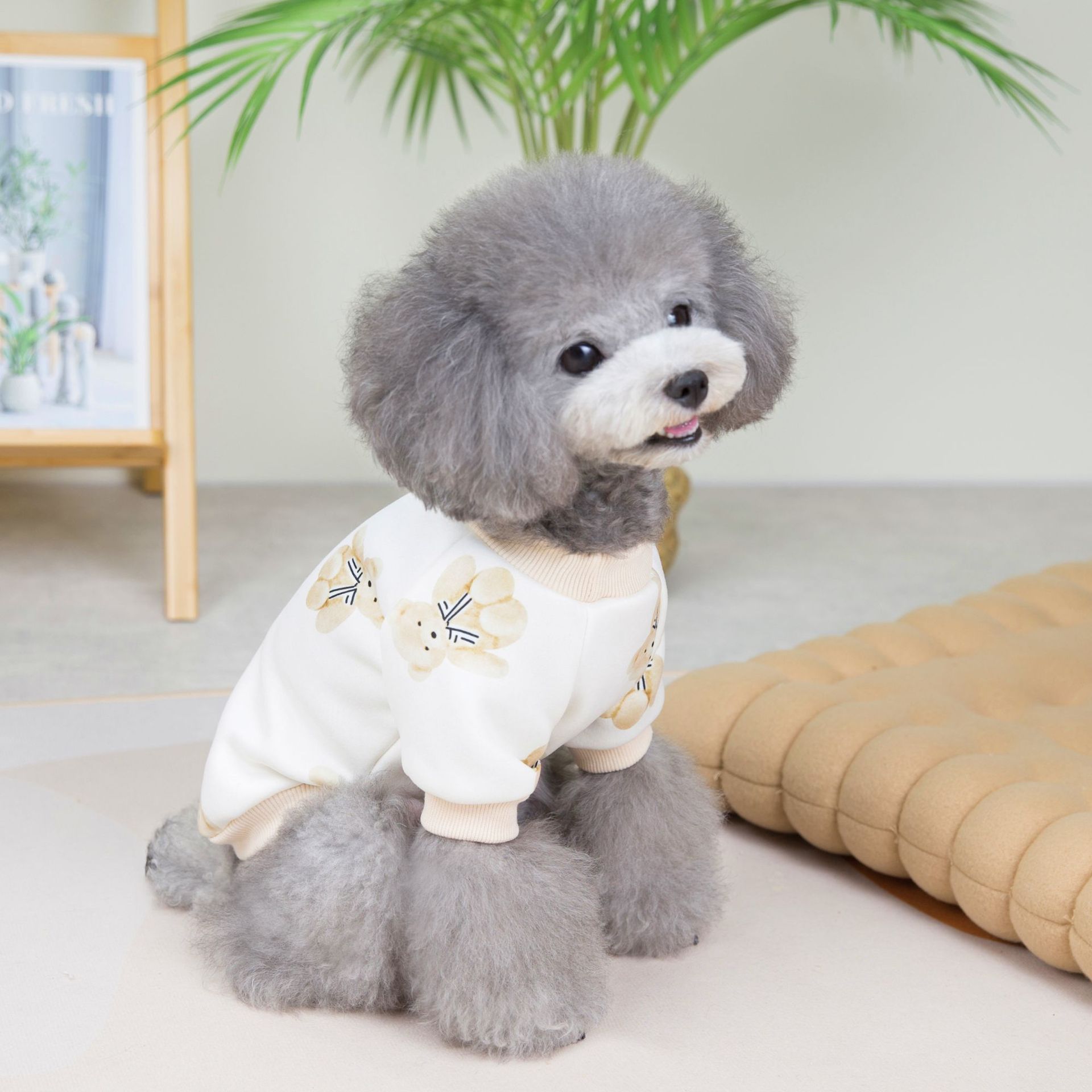 2022洛丽塔小熊卫衣