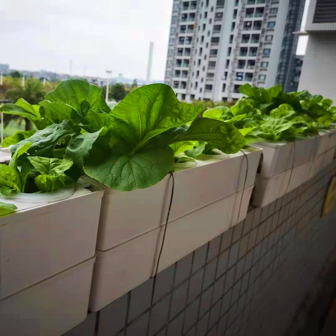 Modular Soilless cultivation family balcony greenhouse Hydroponics plant Facility Cultivate wholesale