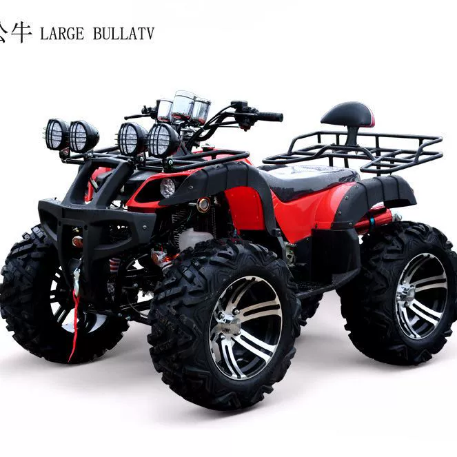 250cc позашляховий великий бик ATV позашляховик чотири колеса для дорослих мотоцикл гірська краса оренда позашляховик