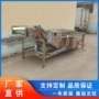 叶类喷淋毛辊海带清洗机