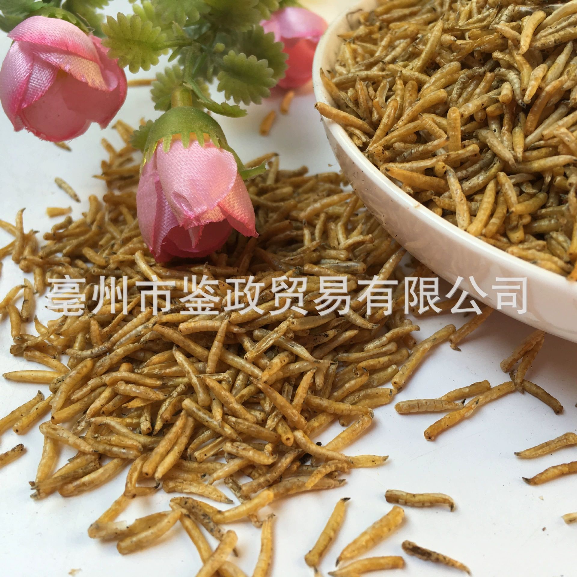 Dried Maggot Larvae Wu Gu Chong Boneless Insect Feed 500g Bag quality and texture