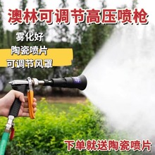 台湾澳林农用打药喷枪汽油打药机高压雾化喷枪果树喷雾枪一件代发