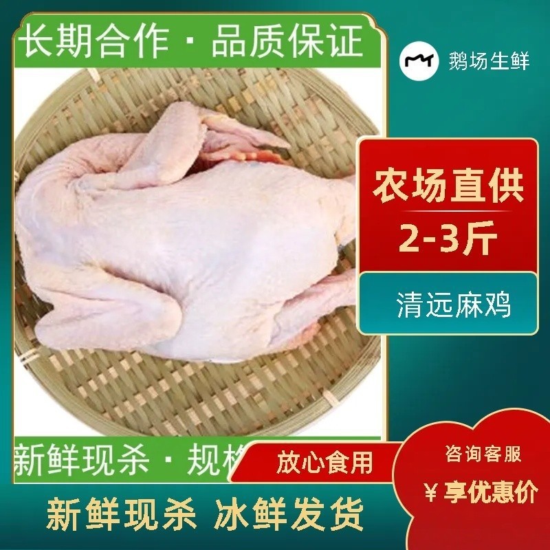 三黄鸡冷冻整鸡去内脏直腿光鸡烤鸡童子鸡炸鸡春鸡西装鸡商用-阿里巴巴