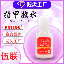 源头厂家Antegu指甲胶水10g透明带刷头美甲专用胶水批发Nail Glue