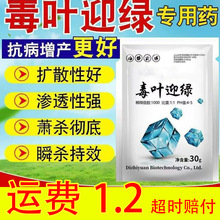 ���~ӭ�G���������b���I���t�������S�����Ѿ��~�S�~���~С�~���~