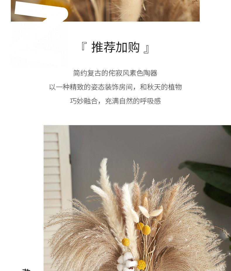 d49b451f-3142-4265-9549-d9c1e3355876.jpe