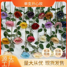 ���滨��֧��÷�W˹���_��õ�廨�ټҾ��bƵ�͏d�̈���c