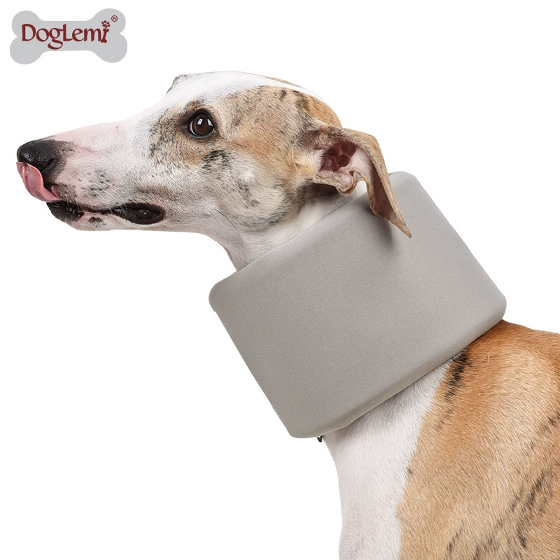 Охранник шеи собаки, артефакт