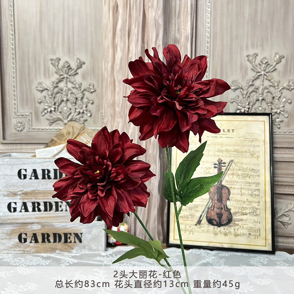 Ty-2 dahlias - red