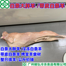 白条大胖羊 公斤价钱 冷冻白条羊 带皮白条羊 烤全羊食材整只绵羊