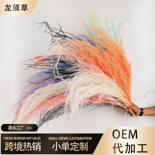 ������횲� ��ë�ݻ�c��ˇ�b� ��������ܛ�b�Lë���� ���Sֱ�N