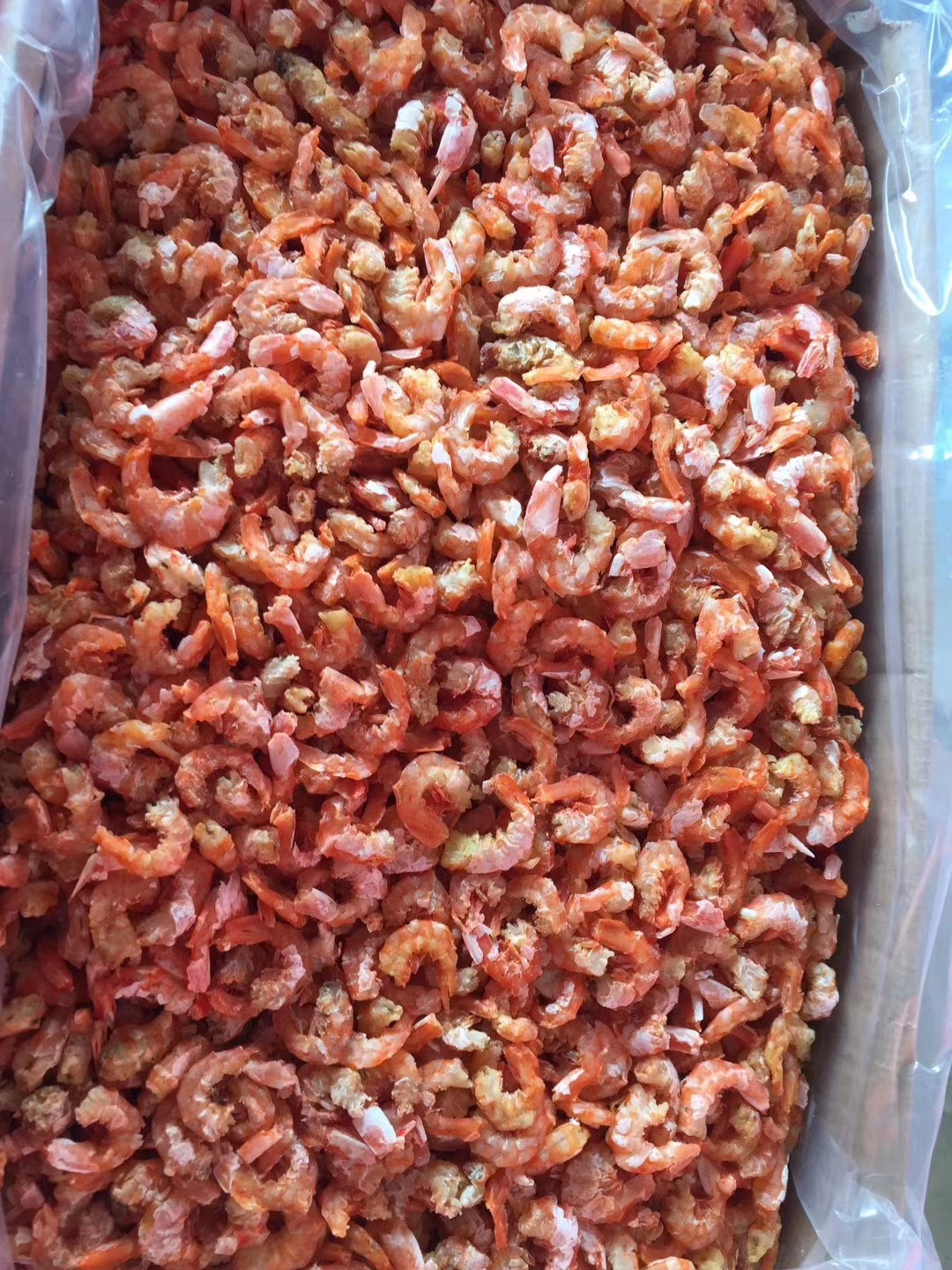 批发淡干海米金钩虾米青岛干海鲜特产立虾米散装10公斤批发