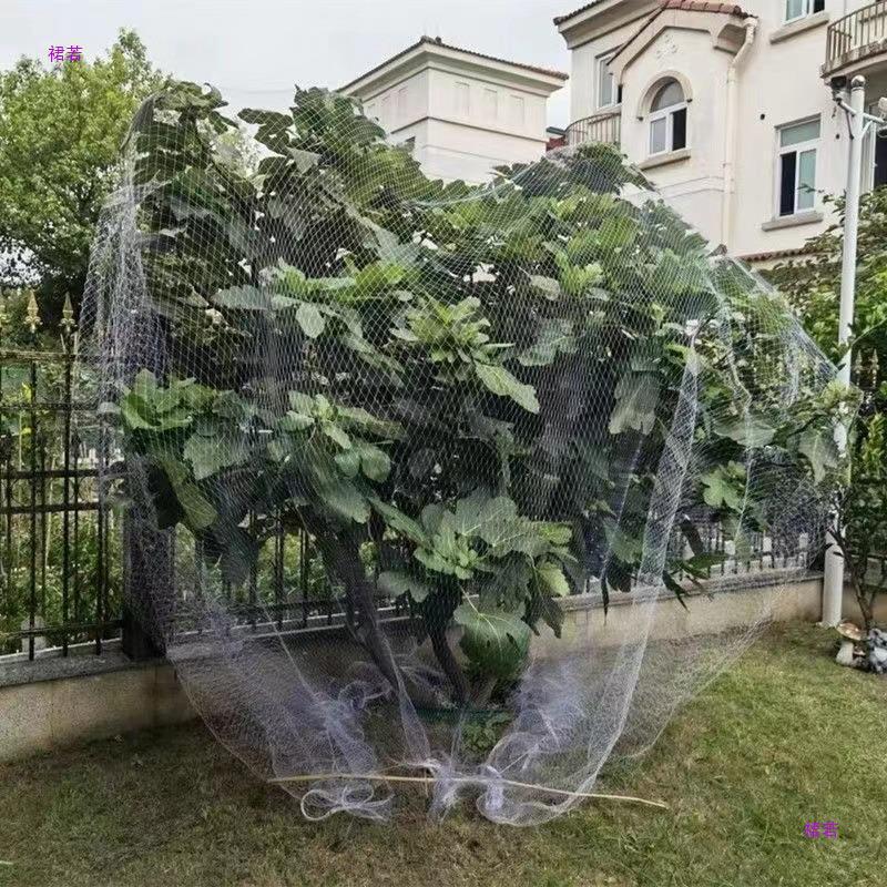 果树防鸟网樱桃树嘉宝树果园防护网果树网罩遮树葡萄防鸟用的网