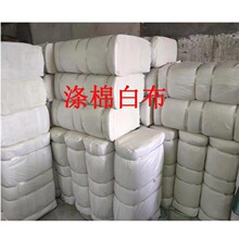 ���ۈ@������Ʒ�ײ� ɫ�� Т��Ьñ���w���`�� ˮ���� �S�����l