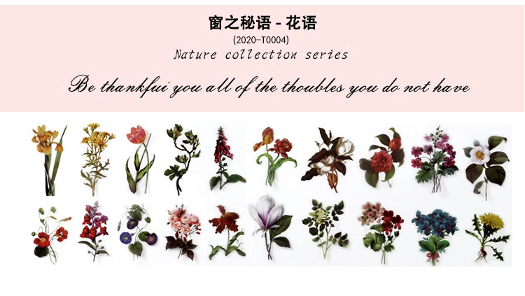 Natural photo collection window series PET handbook post paper bag creative plant DIY decorative post 12 models