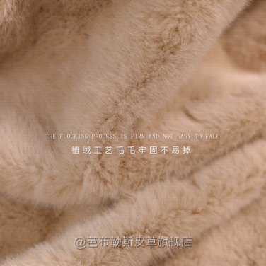 未命名项目-2024-10-16 19 42 57（副本）-