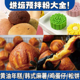预拌粉钵仔糕蛋糕肠粉松饼天妇罗麻薯煎饼鸡蛋仔雪媚娘天妇罗青团
