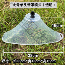 �r��늄Ӈ��F��͸�����L�ֳ�����݄���ș���F�����Ύ��ִ��^