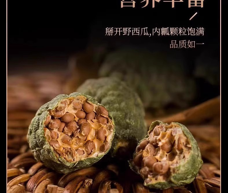 Wild Caper Fruit Ye Xigua 50g Jar Dried Xinjiang Botanical for Traditional Herbal Use specifications