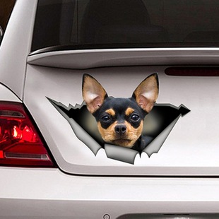 ��ɫ����ɫ��������ϩ���N��˺�ѽ����N���ɐ��N����ˮ��܇�N��