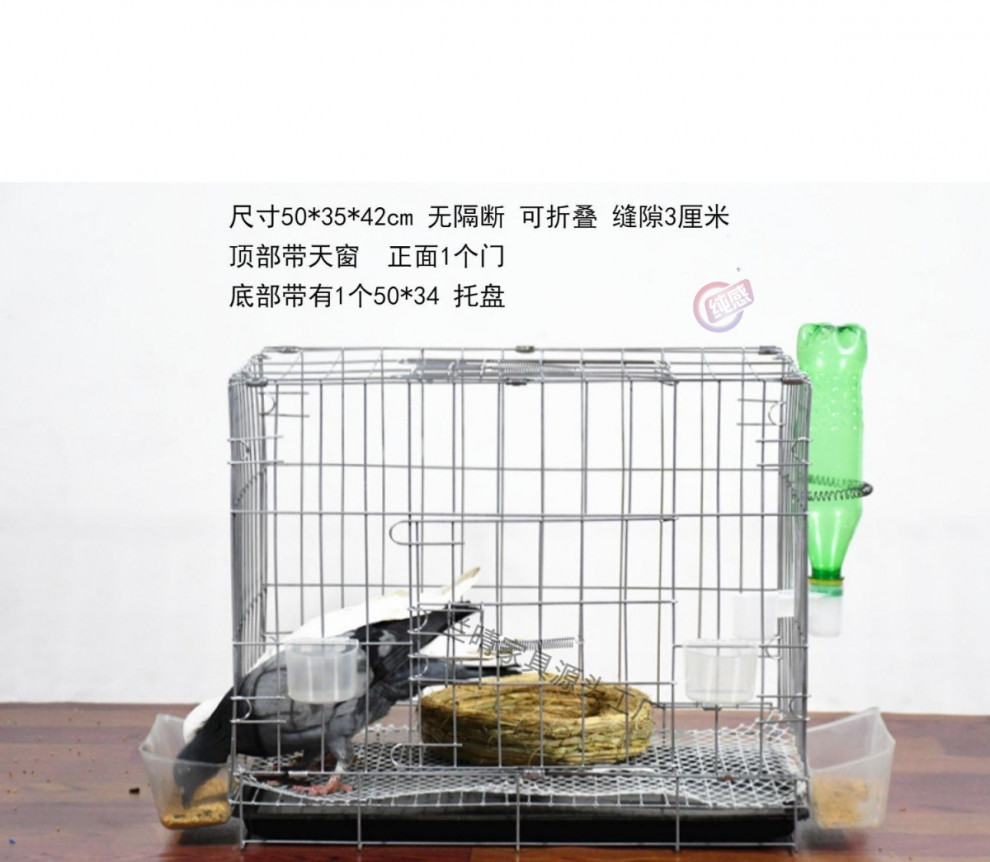 d4cb66cb-a055-424b-b4cb-90f26a871d78.jpe