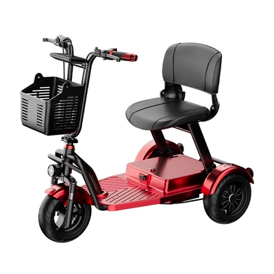 Electric Bicycle, Qatlanan elektrik velosipedlər