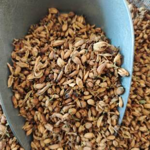 �� ������ֻ� ��̻����ֻ� ��؛��؛��؛