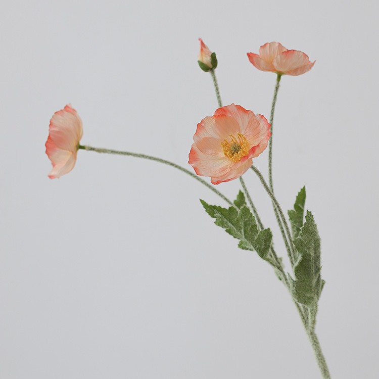 [1 가지] 다이 파우더