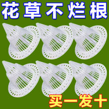 A锥形花盆垫片花盆垫底塑料网多肉根部透气防烂根网格种植箱新款