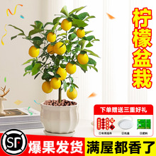 ��ˮ���ʘ����Ԏ����Ϙ��͏d�k�҃�����Gֲ��۹������ʳ��ֲ��