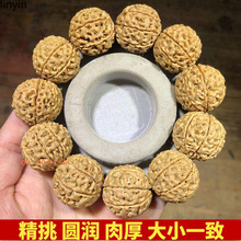 大金刚菩提手串6六7七8八瓣满肉蜂窝金刚菩提子黄皮原籽男士佛珠